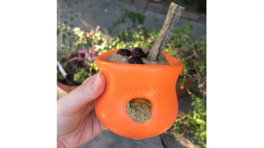 3 Food Enrichment Ideas for Old Dogs