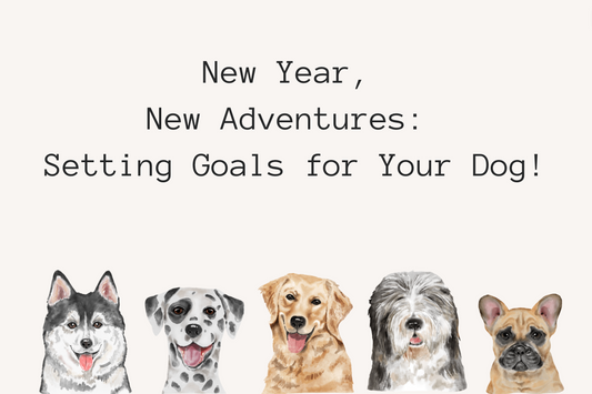 New Year, New Adventures: Setting Goals for Your Dog!