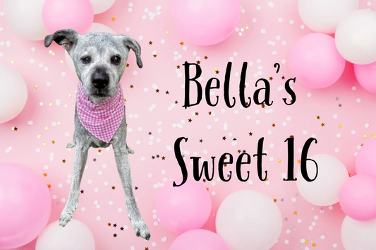 Bella's Sweet 16