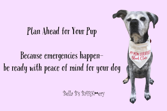 Blood Clot Awareness/Pet Emergency Checklist