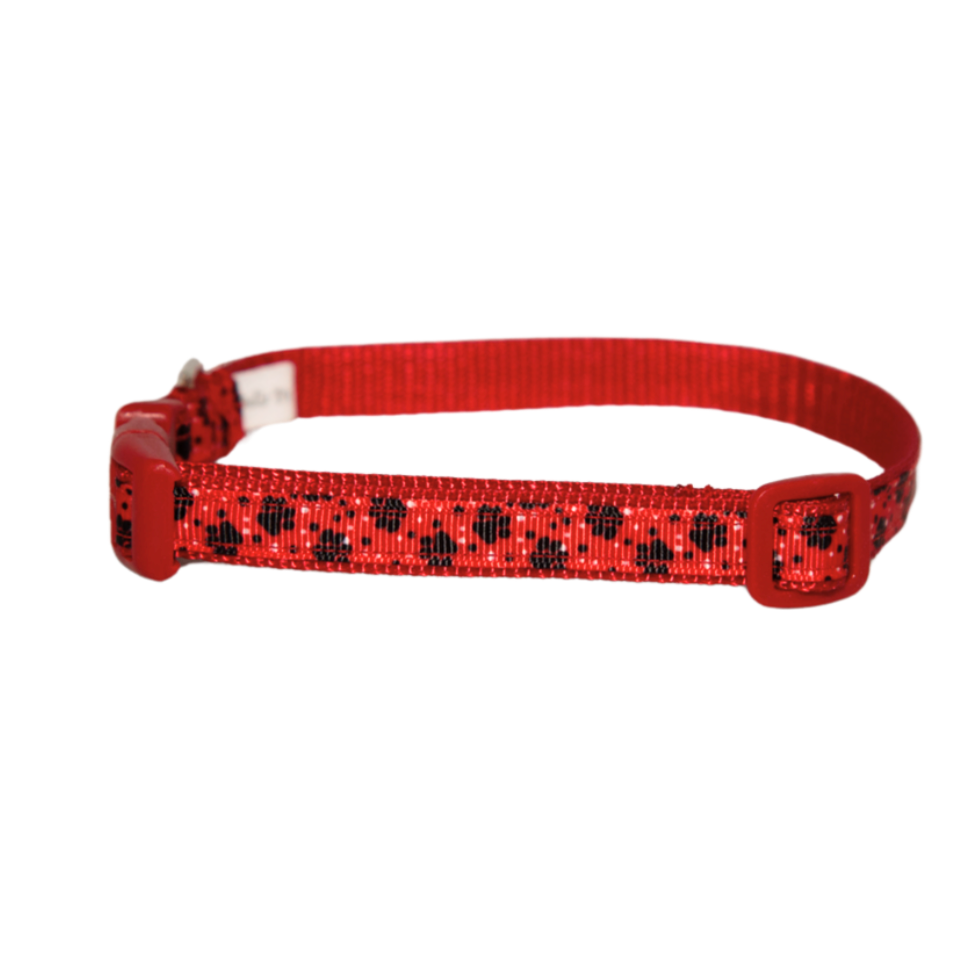Little Paws Dog Collar