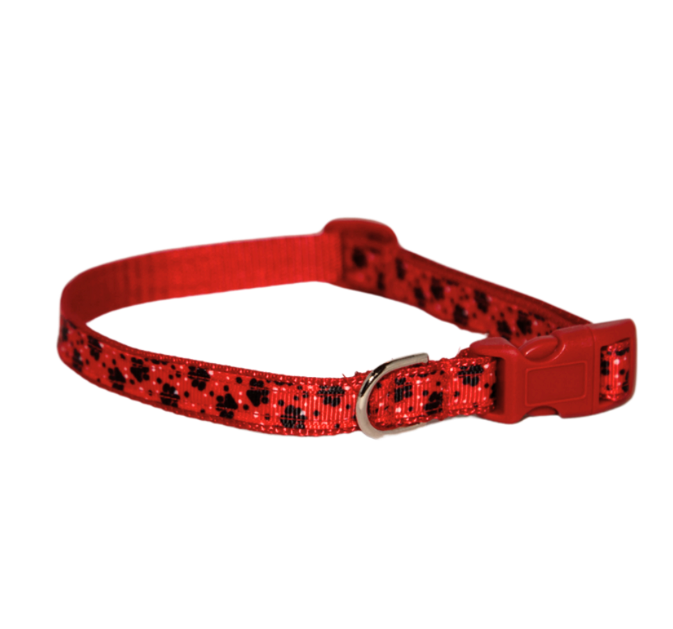 Little Paws Dog Collar