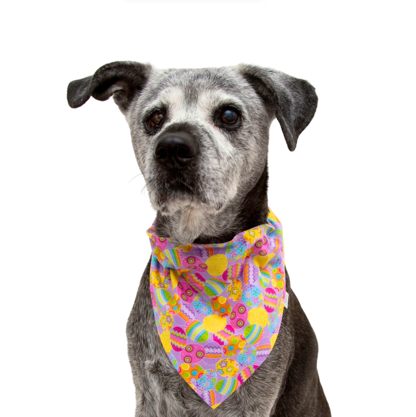 Easter Eggs Dog Bandana