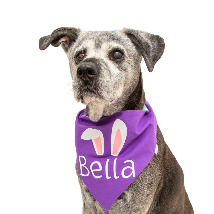 Personalized Bunny Ears Dog Bandana