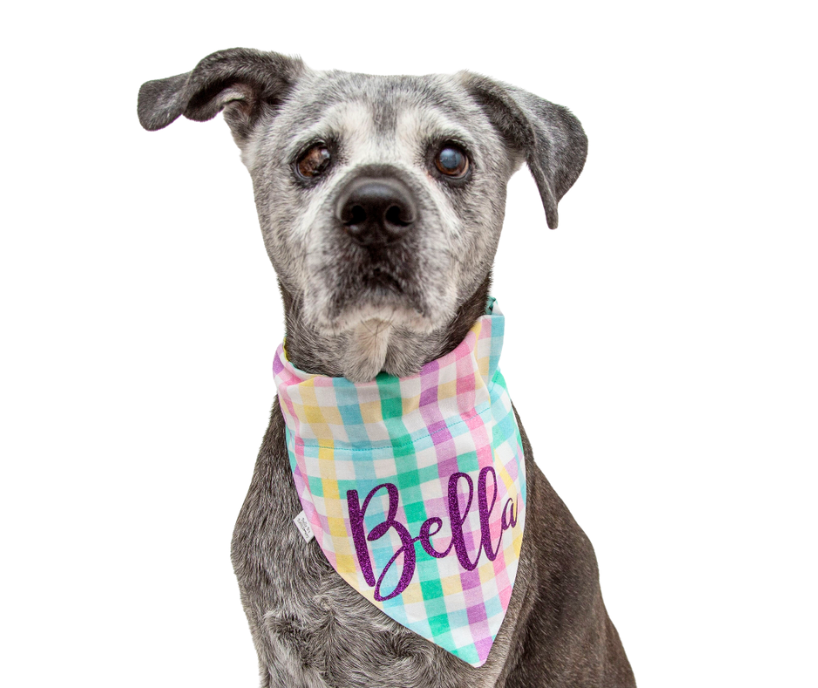 Easter Chick Cupcakes Plaid Dog Bandana