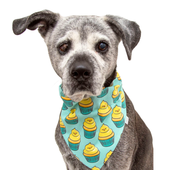 Easter Chick Cupcakes Plaid Dog Bandana