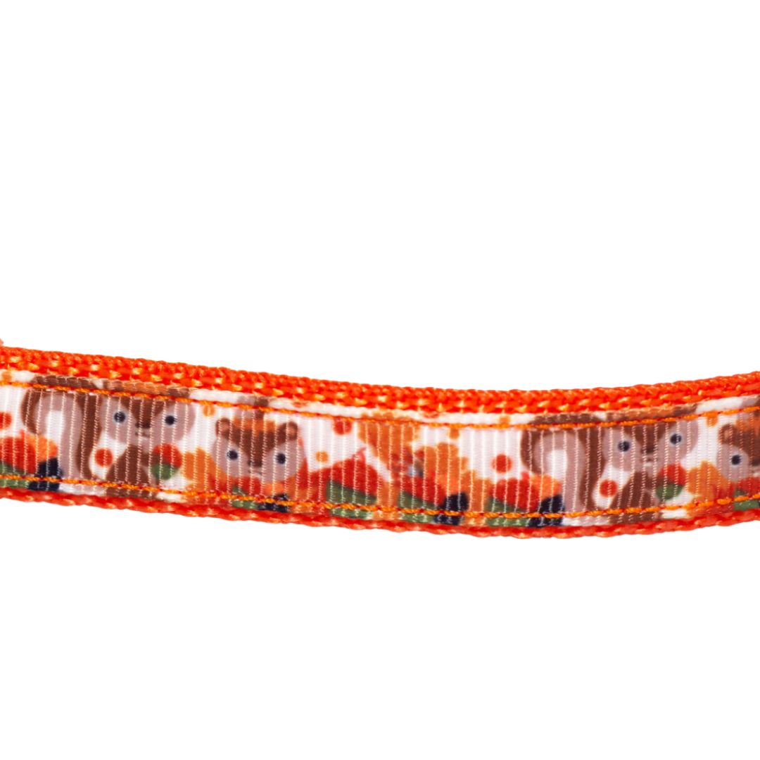 Autumn Squirrels Collar and Leash (1/2" Wide)