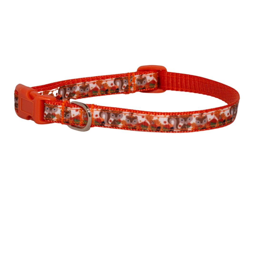 Autumn Squirrels Collar and Leash (1/2" Wide)