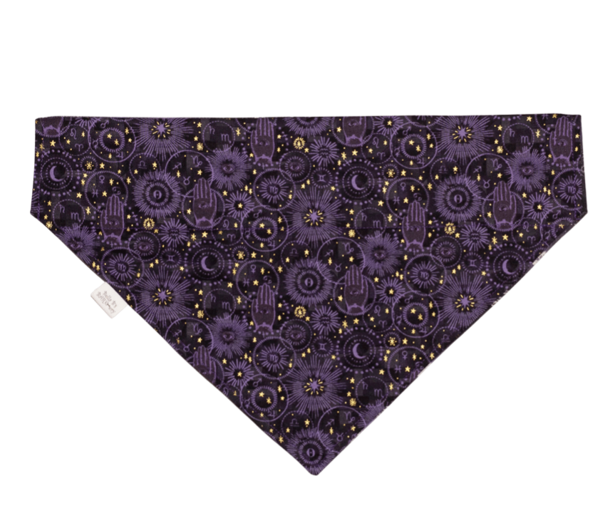Moon Phases Dog Bandana