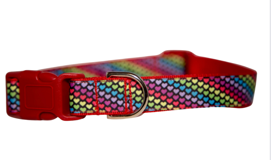 Bright Multi Colored Hearts Dog Collar or Collar and Leash Set