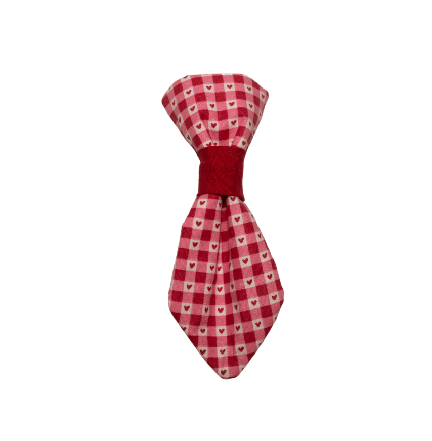 Valentine's Day Gingham Hearts Collar Tie