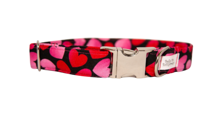 Valentine's Day Hearts Dog Collar