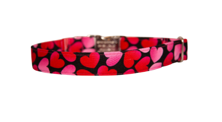Valentine's Day Hearts Dog Collar