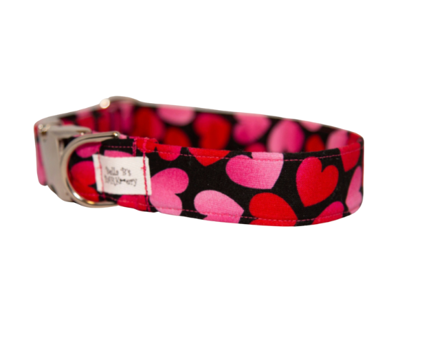 Valentine's Day Hearts Dog Collar