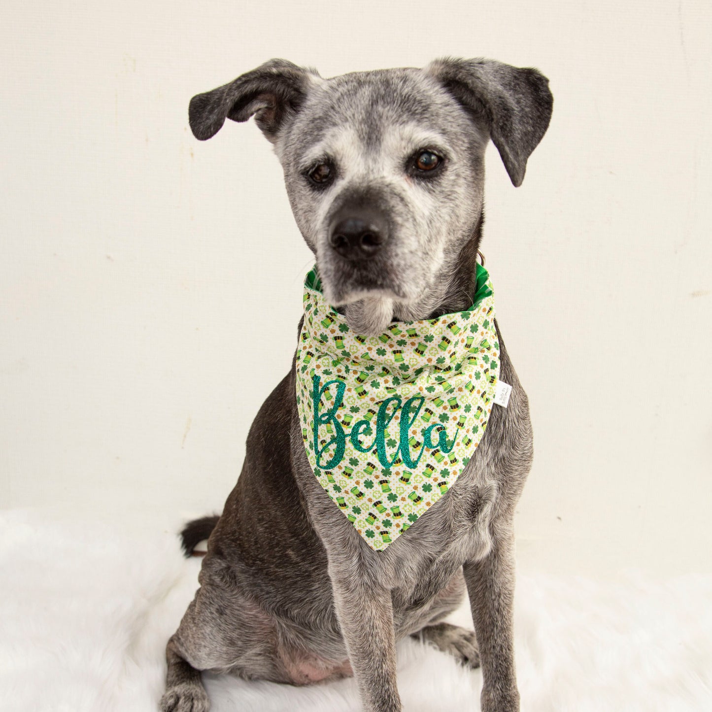 Leprechaun Hat and Clover St. Patricks Day Dog Bandana