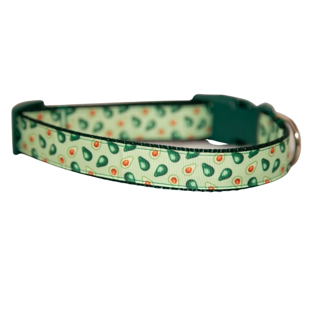 Avocado Dog Collar (1" Wide)