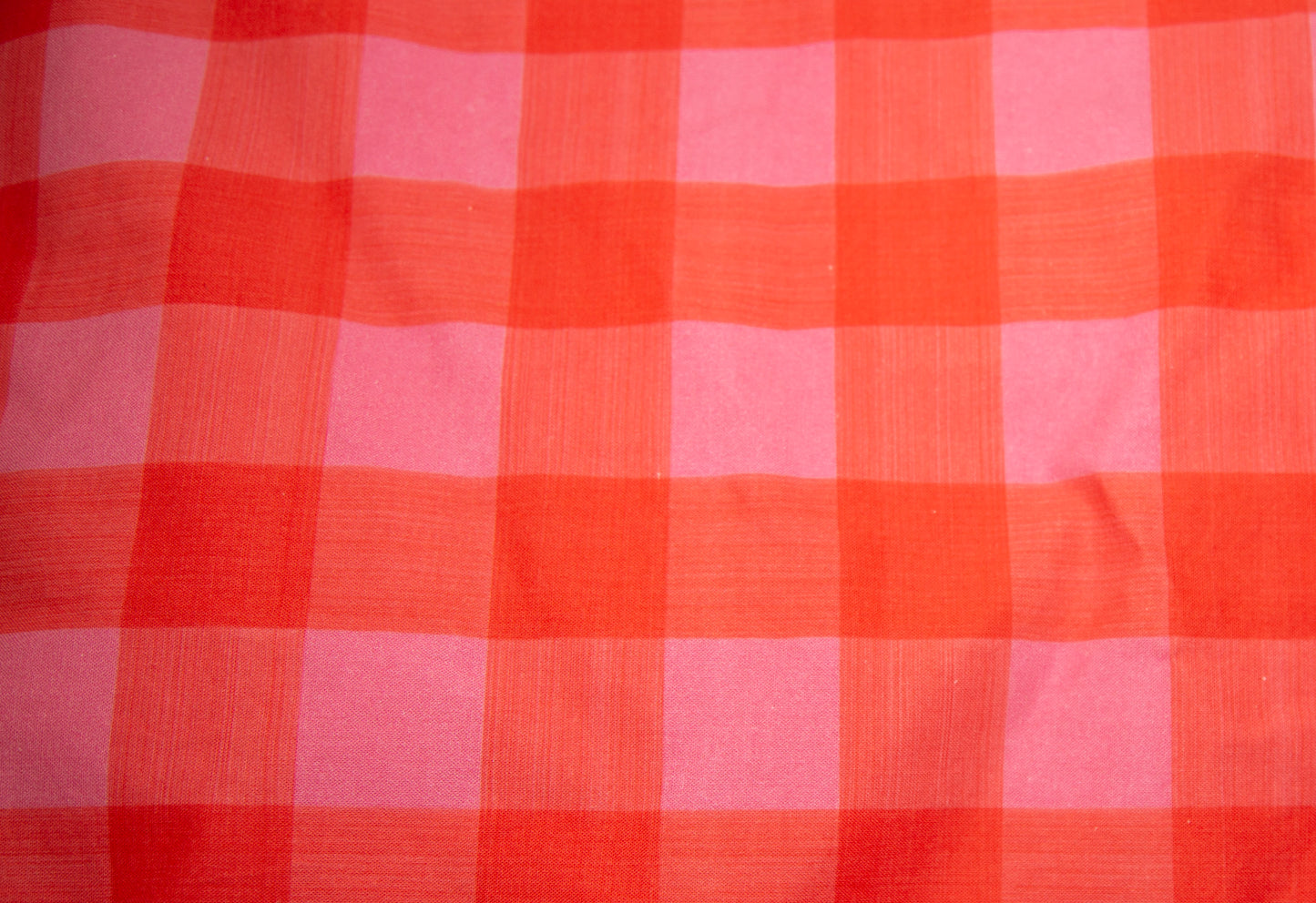 Don’t Go Bacon My Heart Dog Bandana