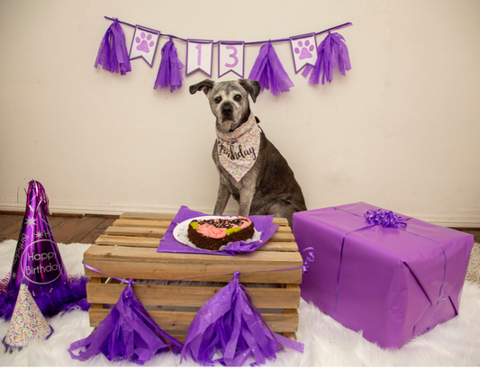 The Blessings of Bella