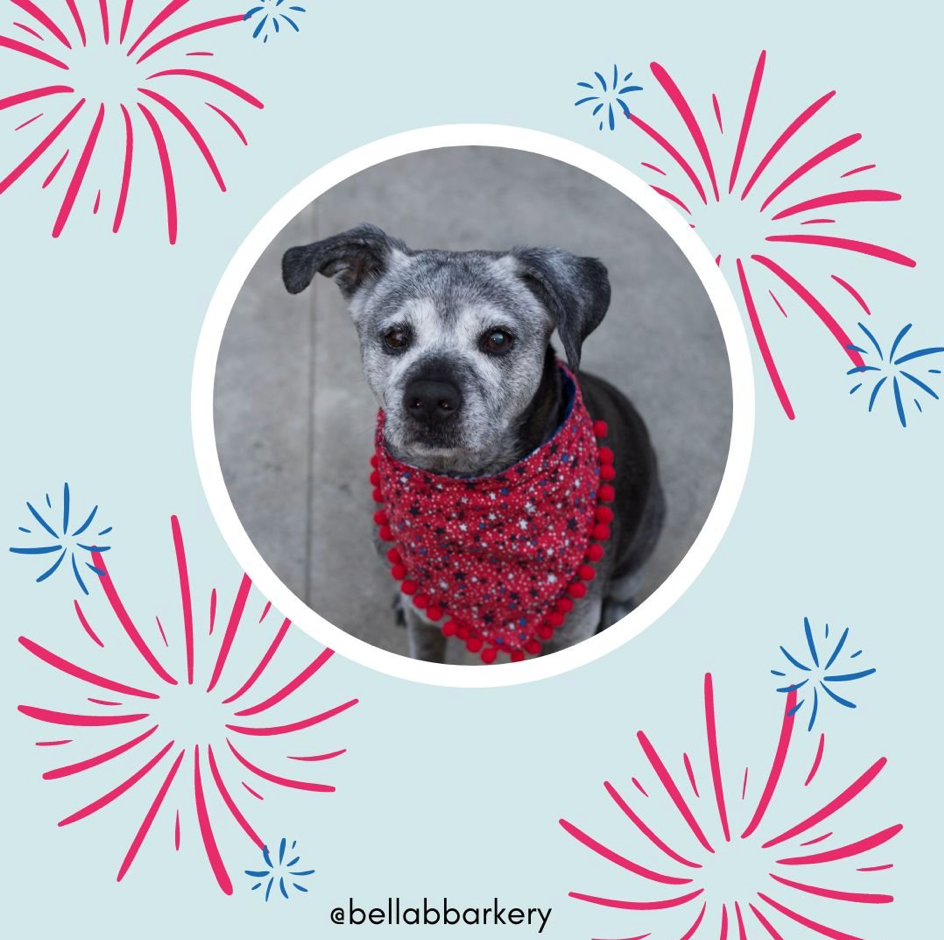 Help Your Dog Stay Worry-free During Fireworks
