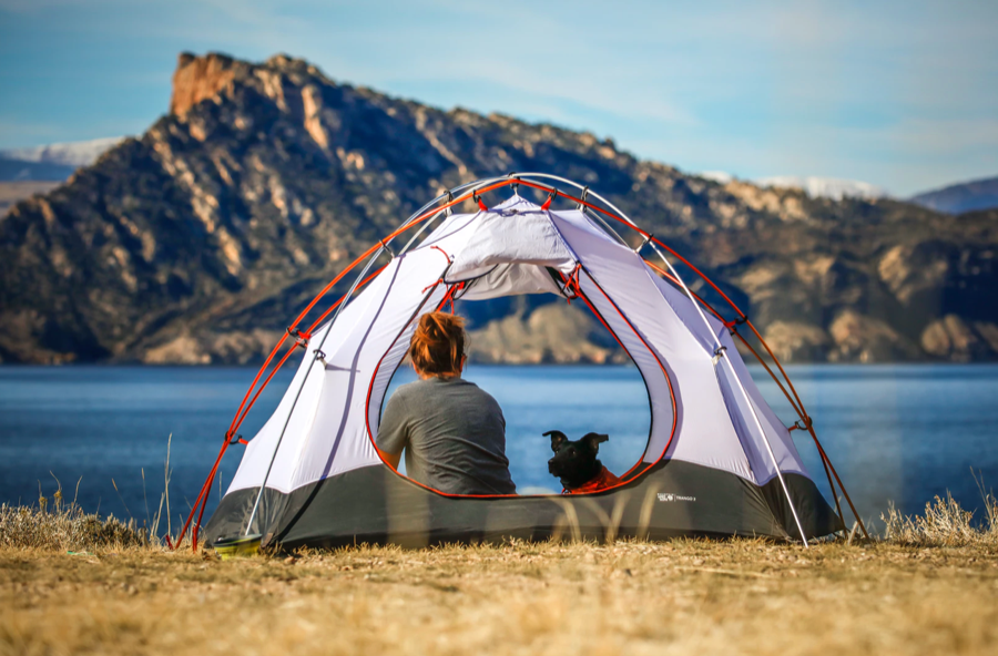 The DOs and DONTs of Camping with Your Dog