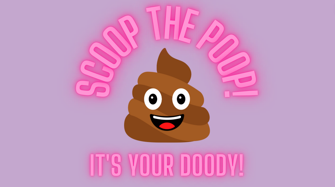 Why it's Important to Scoop Your Dogs Poop!