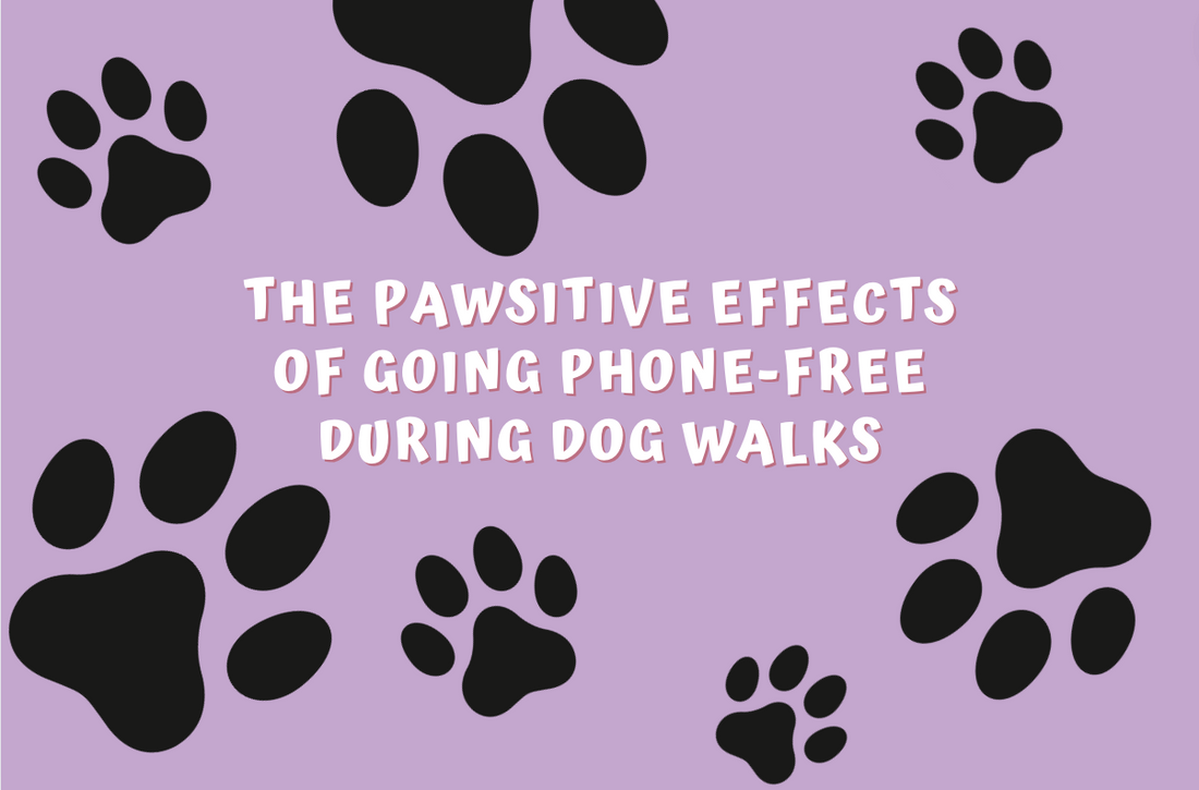 The Pawsitive Effects of Going Phone-Free During Dog Walks