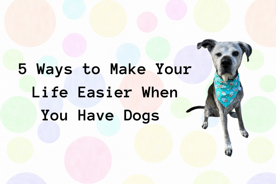 5 Ways to Make Life Easier When You Have Dogs