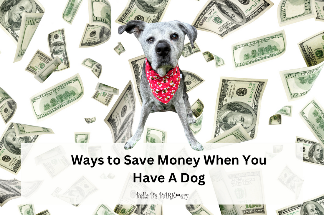 Ways to Save Money When You Have a Dog