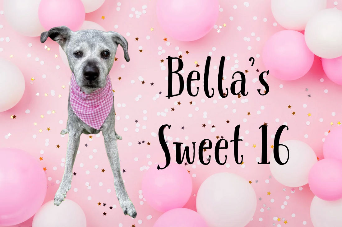 Bella's Sweet 16