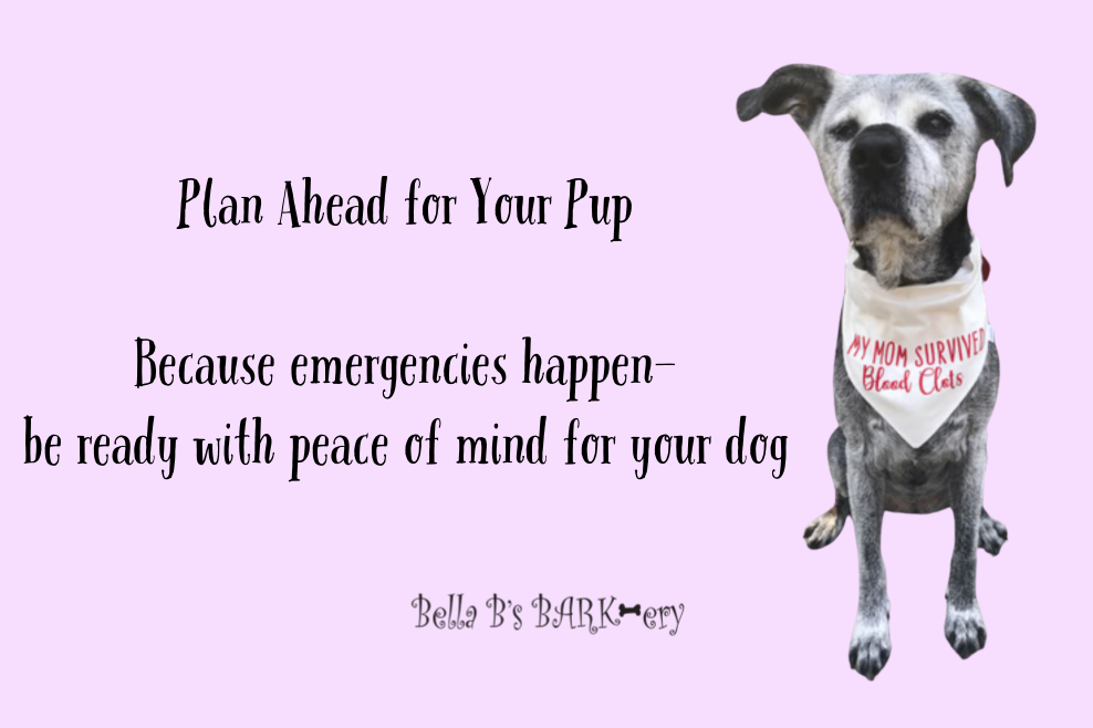 Blood Clot Awareness/Pet Emergency Checklist