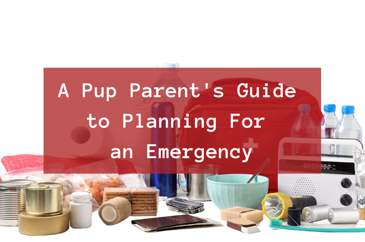 A Pup Parent's Guide to Planning For an Emergency