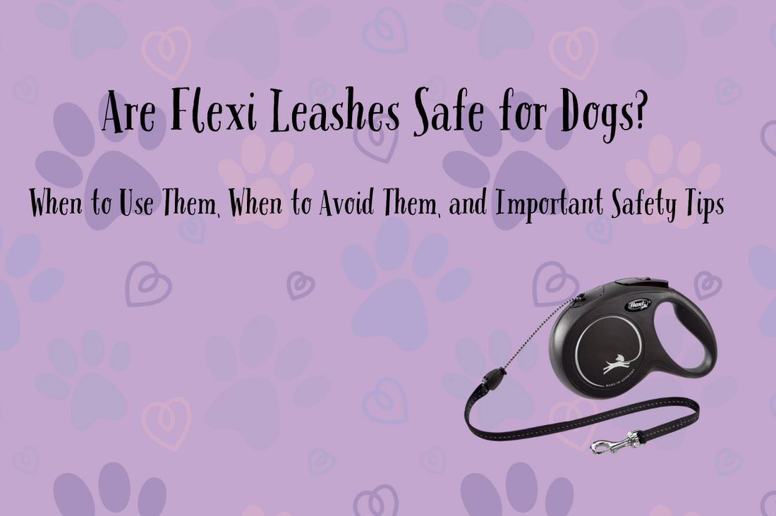 Are Flexi Leashes Safe for Dogs? When to Use Them, When to Avoid Them, and Important Safety Tips