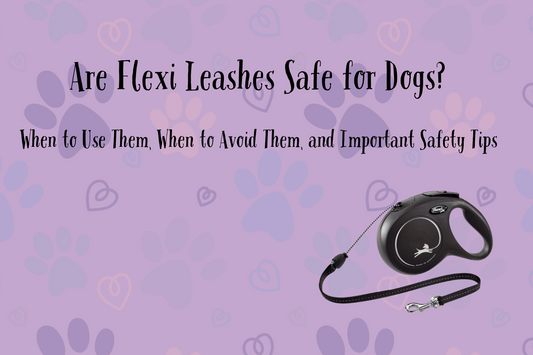 Are Flexi Leashes Safe for Dogs? When to Use Them, When to Avoid Them, and Important Safety Tips