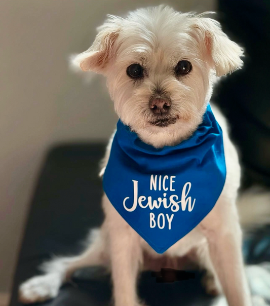 A dog wearing a blue bandana with the text 'NICE JEWISH BOY' printed in white vinyl lettering.