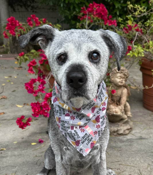 Drinking buddy dog sales bandana