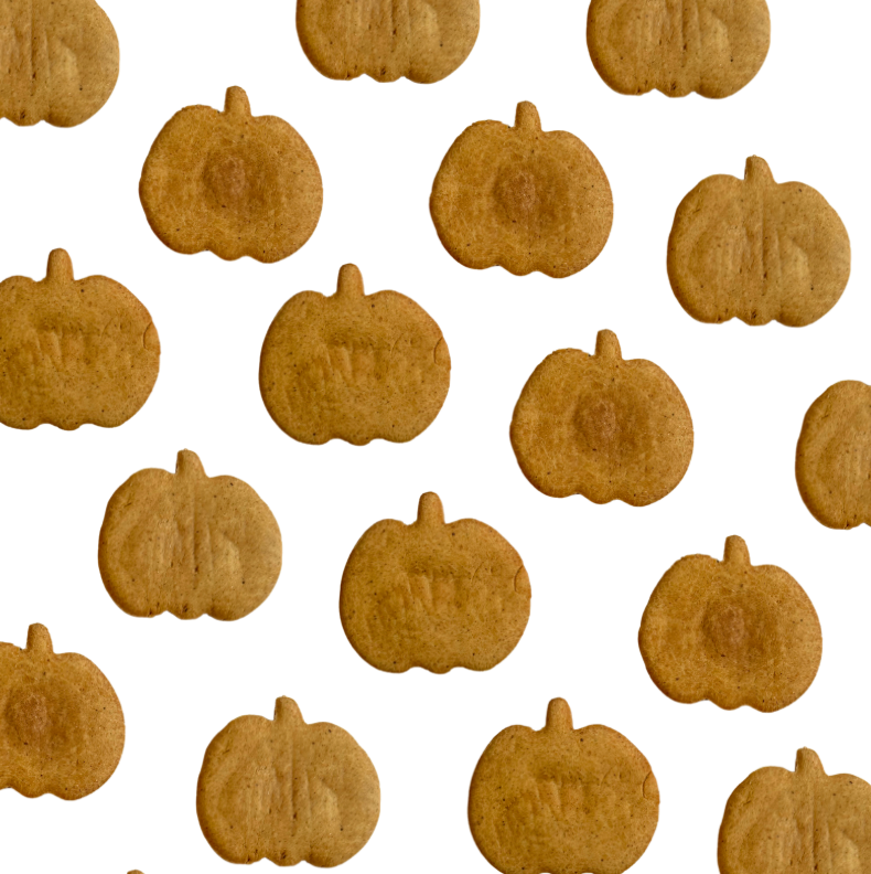 Pumpkin Spice Dog Treats