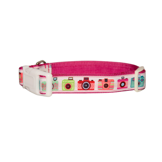Camera Dog Collar