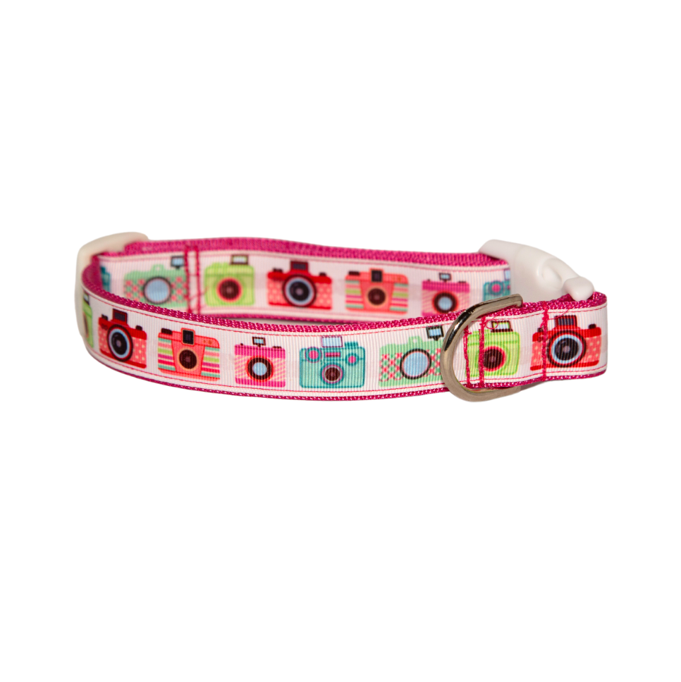 Camera Dog Collar