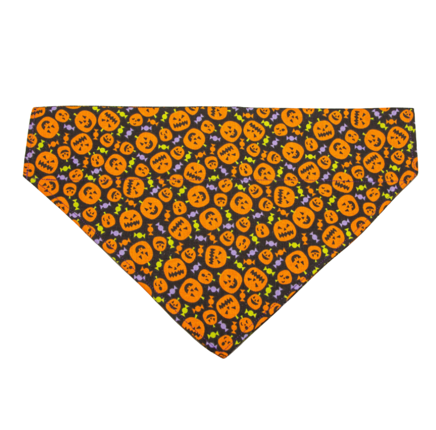 Jack-O-Lantern and Webs Dog Bandana