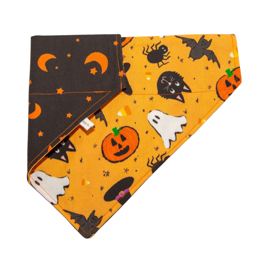 Bewitching Halloween Dog Bandana
