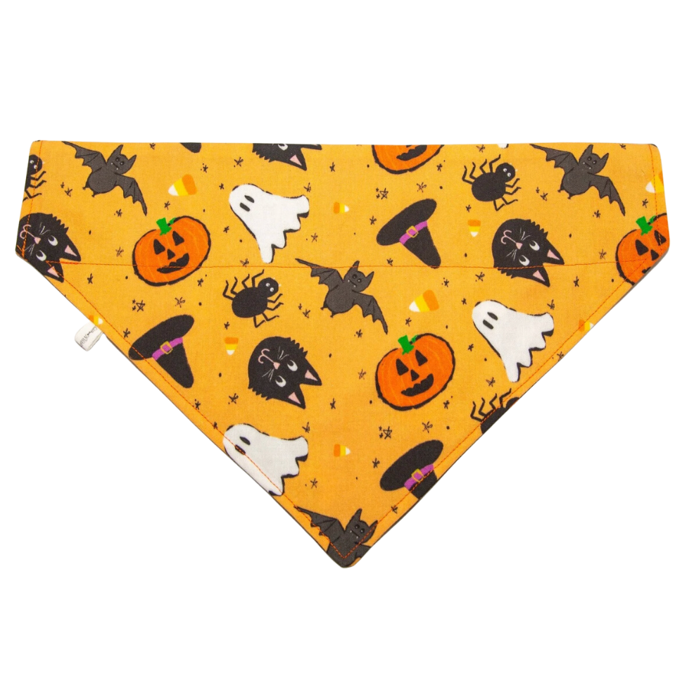 Bewitching Halloween Dog Bandana