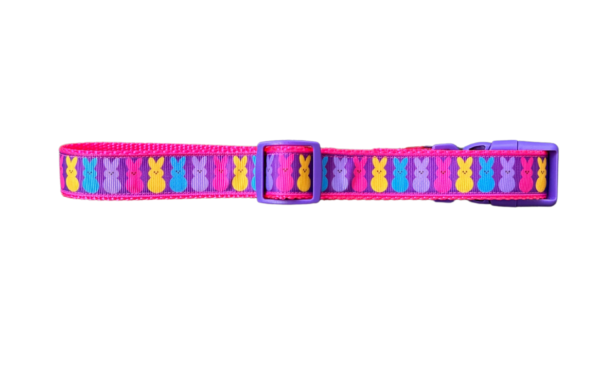 Easter Bunny Dog Collar