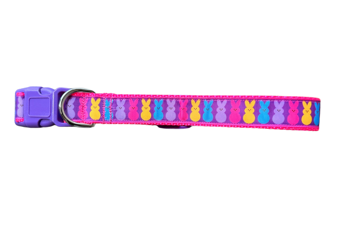 Easter Bunny Dog Collar
