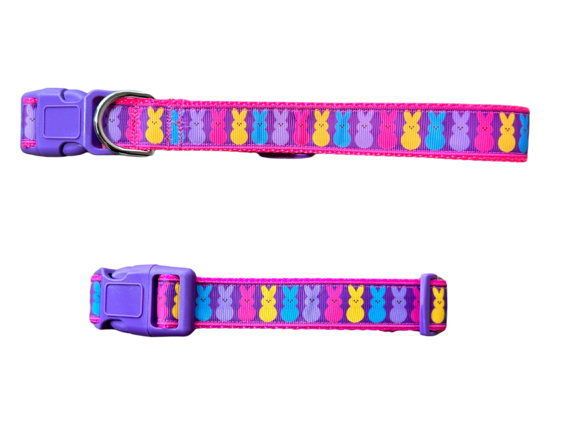 Easter Bunny Dog Collar