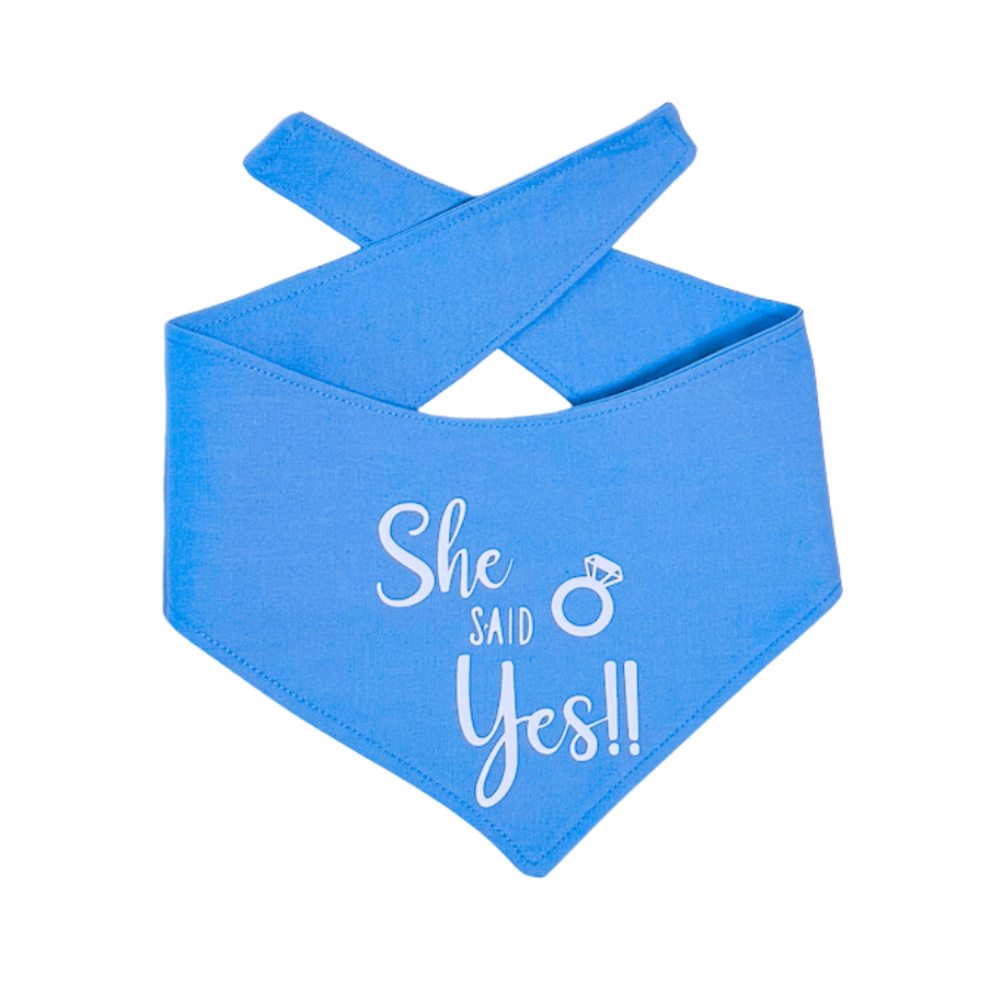A blue dog bandana with the text 'She Said Yes!!' printed in white, designed for engagement photos or as a gift for newly engaged couples.
