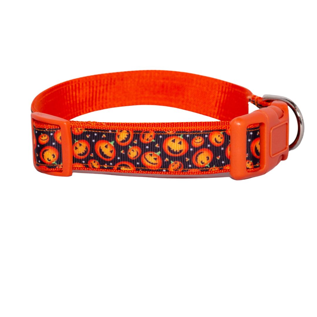 Lots of Jack-O-Lanterns Halloween Collar (1" Wide)