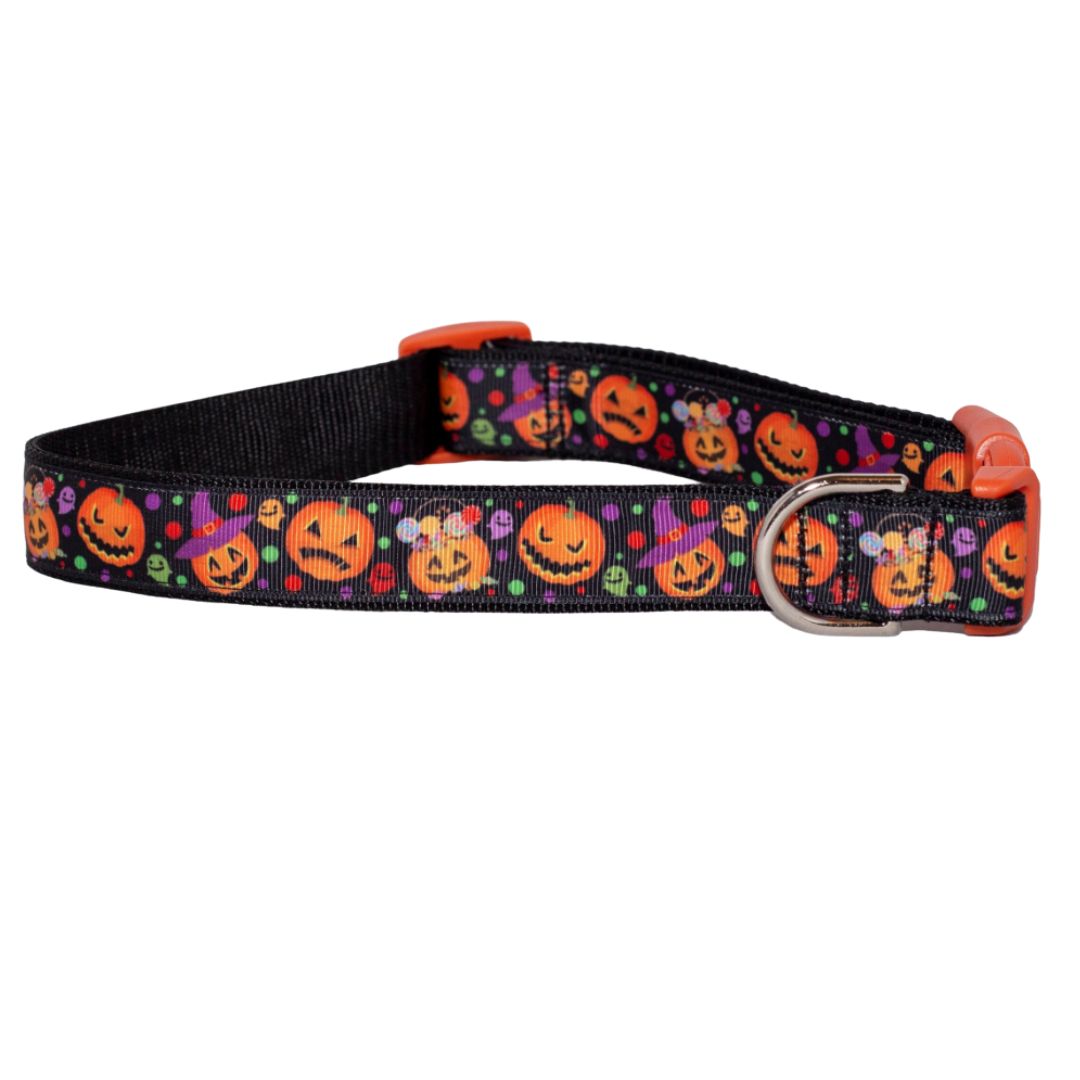 Scary Pumpkins Halloween Collar (1" Wide)