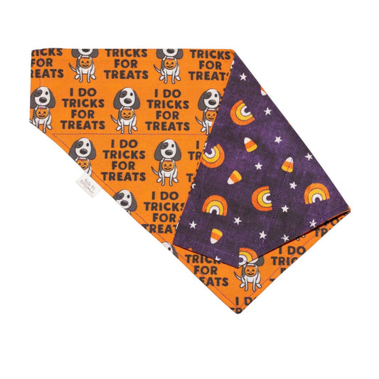 Tricks For Treats/Purple Halloween Rainbows Reversible Dog Bandana