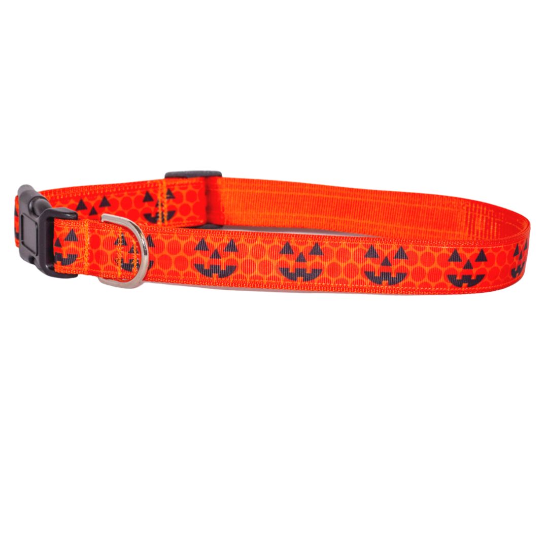 Halloween/Fall Jack-O-Lantern Collar (1" Wide)