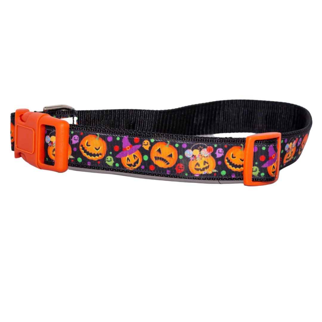 Scary Pumpkins Halloween Collar (1" Wide)